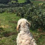 Mia Cleary - @miacleary_20 - Instagram