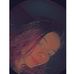 Mia Clements - Facebook