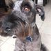 Mia Clements - Facebook