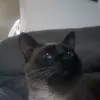 Mia Daleyza - @mia.daleyza - TikTok