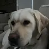 mia_____demarco - @mia_____demarco - TikTok