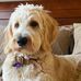 Mia Menard Dempsey - Facebook