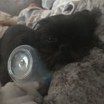 Mia Dobbs - @dobbs2270 - Instagram