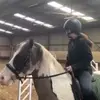 mia ? - @miadowd0 - TikTok