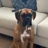 mia.doyle - @mia...spamz - TikTok