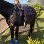Mia Duncan 💓 - @mia_teampenning - Instagram