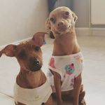 Mia._Floyd - @mia._fl - Instagram