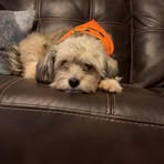 Mia Forrest - Facebook