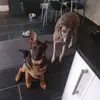 FredandMIa - @fredandmia - TikTok