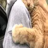 fredartamia - @fredartamia - TikTok