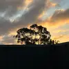 ️ - @miafreeman38 - TikTok
