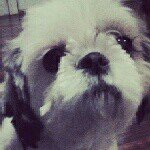 Mia Gamboa - @mia_thehungryfurry - Instagram