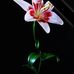 Mia Khan - Facebook