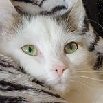 Mia Geiger - @mia.geiger.585 - Instagram