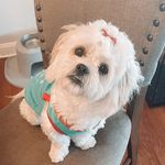 M I A - @mia.grace.griggs - Instagram