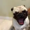 Mia Hamilton - @mia.hamilton77 - TikTok
