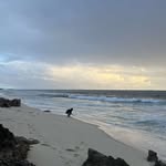 Mia Hamilton - @mia22330099 - Instagram