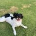 Mia Harding - Facebook
