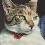 Mia Hell - @mia_ihateeveryone - Instagram