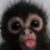Mia💗💕 - @mia.hernandez4812 - TikTok
