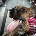 Mia Hibbert - Facebook