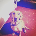 Mia Louise - @miahibbert7 - Instagram