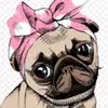 Mia Holman - @pugscutiexx - TikTok