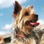 ✨Mia✨ - @mia_holman_ - Instagram