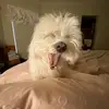 miahooper36 - @miahooper368 - TikTok