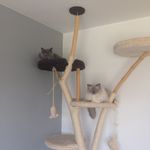 Mia, Hubert & Bruno - @mia_hubert_and_bruno - Instagram