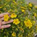 Mia Huynh - Facebook