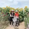 Mia Huynh - @miahuynh46 - TikTok