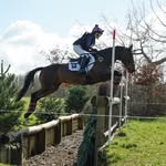 Mia jarrett - @mia_jarrett_eventing_ - Instagram