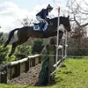 Mia_jarrett_eventing - @mia_jarrett_eventing - TikTok