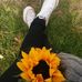 Mia Jimenez - Facebook
