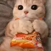 Mia judd - @kitties4 - TikTok