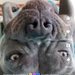 Mia kern - @miake_rn - Instagram