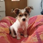 miakern - @miakern57 - Instagram