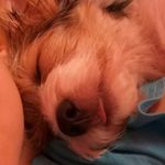 miakern - @mia2.5kern04 - Instagram