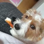 miakern - @mia25kern04 - Instagram