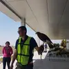 mia.kidd - @mia.kidd5 - TikTok