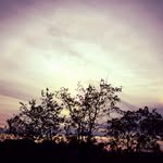 Mia&Kyle - @mia_kyle_42 - Instagram
