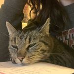 mia - @mia.majorska - Instagram