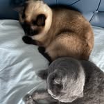 duman&mia&marcus - @duman.mia.marcus - Instagram