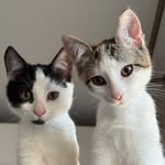 Mia & Marcus 🐾 - @miaandmarcus - Instagram