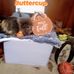 Mia Maynard - Facebook