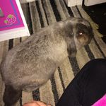 Mia Mccormick - @mia_mccormick123xx - Instagram