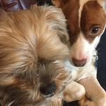 Mia McNulty - @mia.mcnulty.54 - Instagram