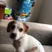 Mia McSweeney - Facebook