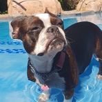 Miss Mia Mendes - Facebook